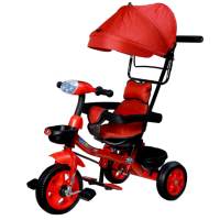 Kids Tricycle With Canopy And Parental Handle MD-118