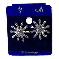 Sparkle diamond Type earrings