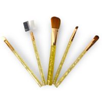 Professional Makeup Brush Set Pack Of 5